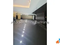 Izdavanje, dvosoban stan, 60m², Savski Venac, Beograd - image 16