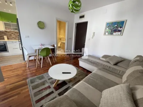 Izdavanje, dvosoban stan, 40m², Vračar Sve Podlokacije, Beograd - image 5