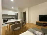 Izdavanje, jednosoban stan, 48m², Central Point, Podgorica - image 7