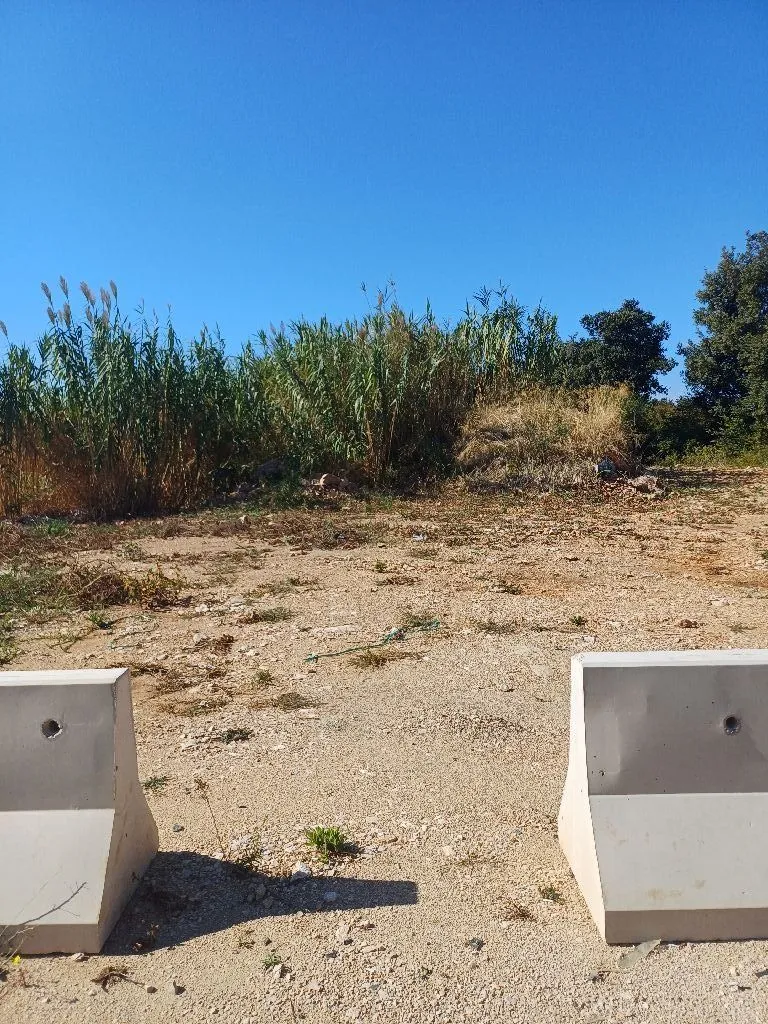 Prikaz zemljišta sa rastinjem i betonskim barijerama u prvom planu.