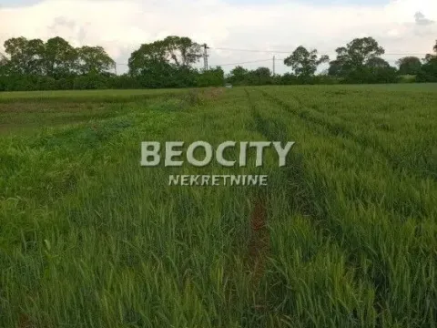 Sale, land lot, 29m², Ovča, Palilula Sve Podlokacije - image 8