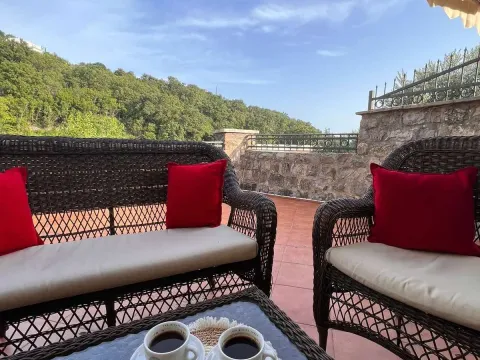 Prodaja, kuća, 300m², Budva, Crna Gora - image 9