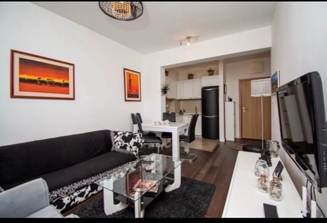 Rent, one bedroom apartment, 48m², Vezirov Most, Podgorica