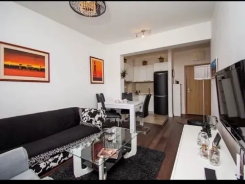 Izdavanje, jednosoban stan, 48m², Vezirov Most, Podgorica - image 2