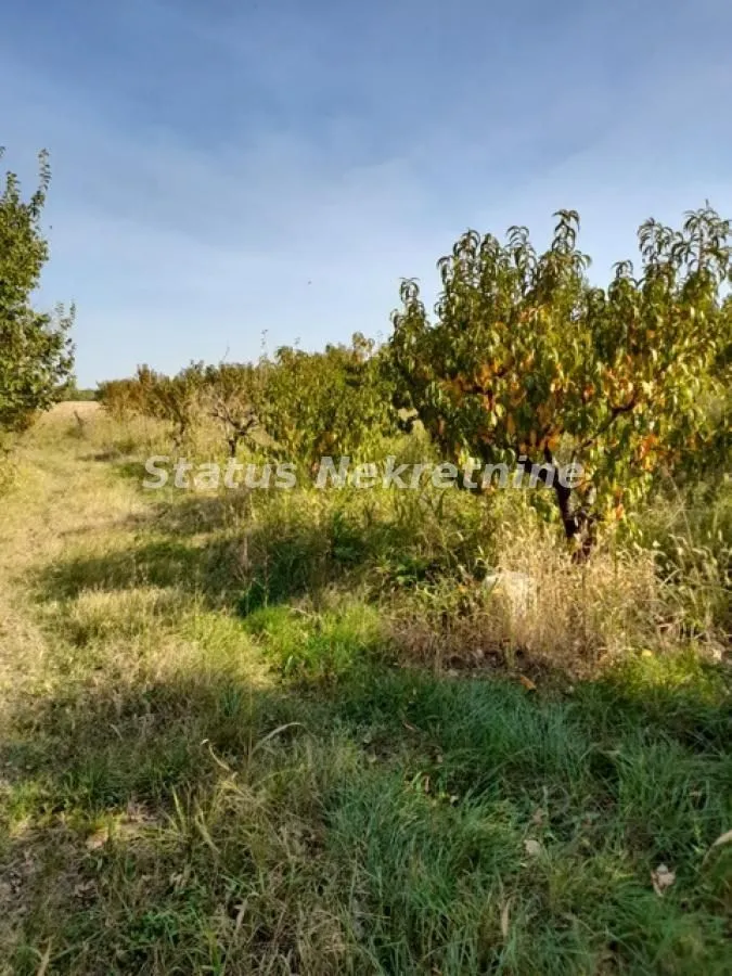 Prodaja, plac, 5000m², Sremski Karlovci, Novi Sad