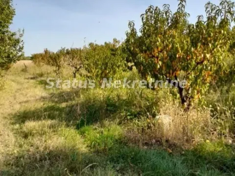 Sale, land lot, 5000m², Sremski Karlovci, Novi Sad - image 2
