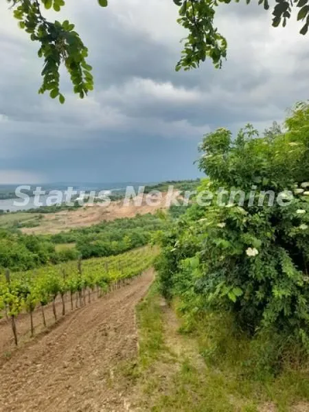 Prodaja, plac, 4100m², Sremski Karlovci, Novi Sad