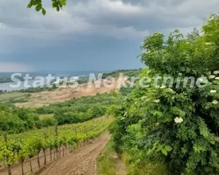 Sale, land lot, 4100m², Sremski Karlovci, Novi Sad - image 4