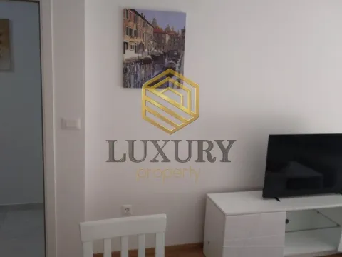 Rent, one bedroom apartment, 46m², Zabjelo, Podgorica - image 5