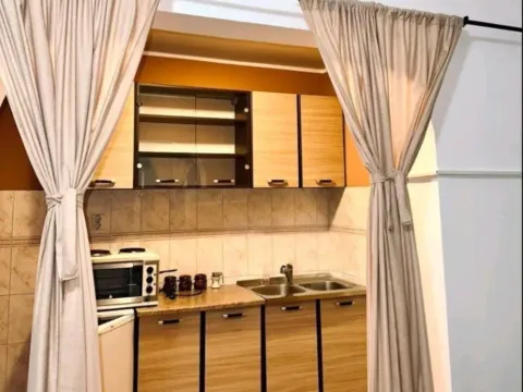 Izdavanje, jednosoban stan, 45m², Dalmatinska ulica, Podgorica - image 4