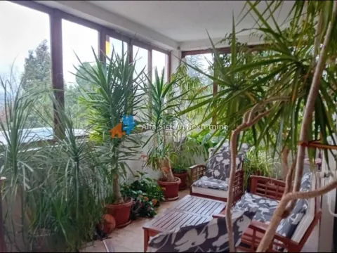 Izdavanje, kuća, 330m², Savski Venac, Beograd - image 8