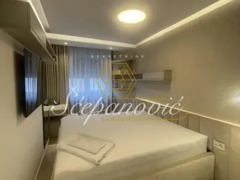 Izdavanje, dvosoban stan, 52m², Grbavica, Novi Sad Sve Podlokacije - image 2