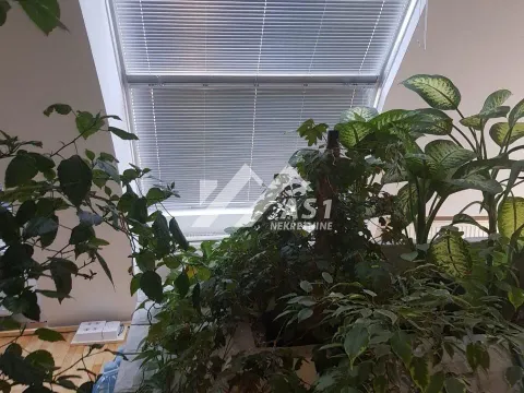 Izdavanje, stan, 216m², Novi Sad Sve Podlokacije, Novi Sad - image 7