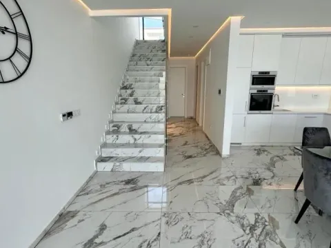 Izdavanje, kuća, 180m², Sremska Kamenica, Petrovaradin - image 4