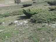 Prodaja, plac, 3900m², Bjelojevići, Mojkovac - image 5