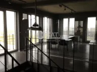 Izdavanje, poslovni prostor, 1045m², Karlovčić, Pećinci - image 14