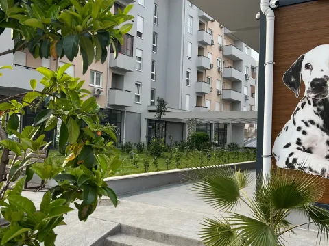 Izdavanje, dvosoban stan, 40m², Zabjelo, Podgorica - image 1