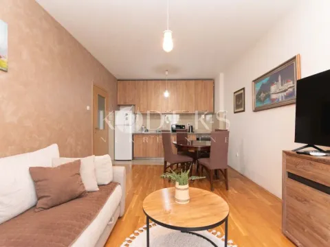 Izdavanje, jednosoban stan, 43m², Ljubović, Podgorica - image 3