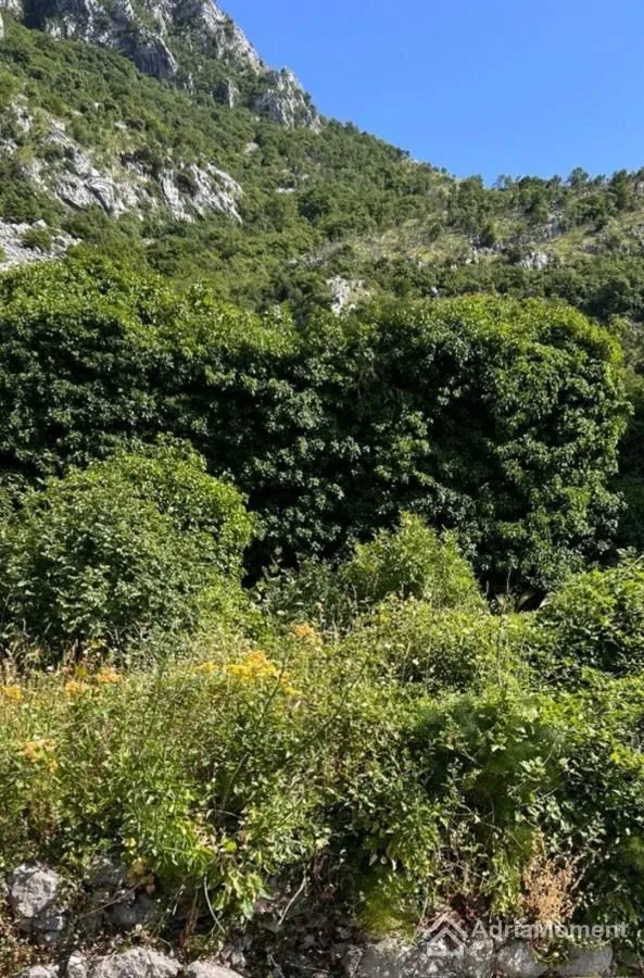 Prodaja, plac, 500m², Tudorovići, Budva