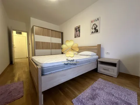 Izdavanje, jednosoban stan, 53m², Ljubović, Podgorica - image 8