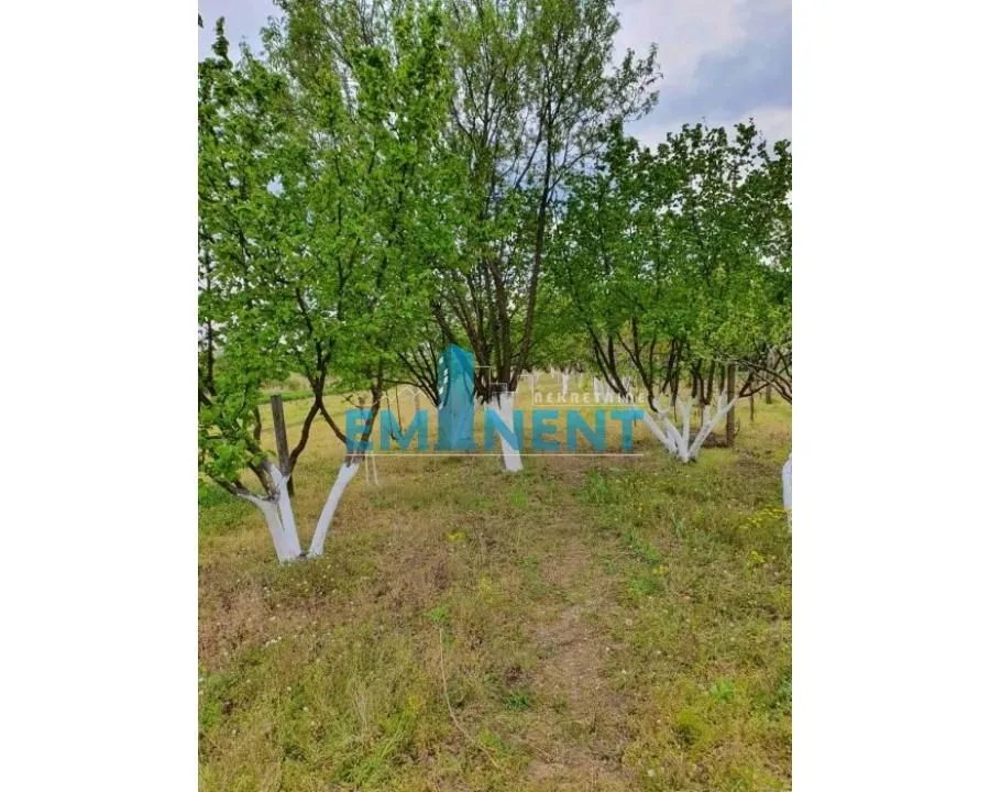 Prodaja, kuća, 150m², Slankamenački vinogradi, Inđija