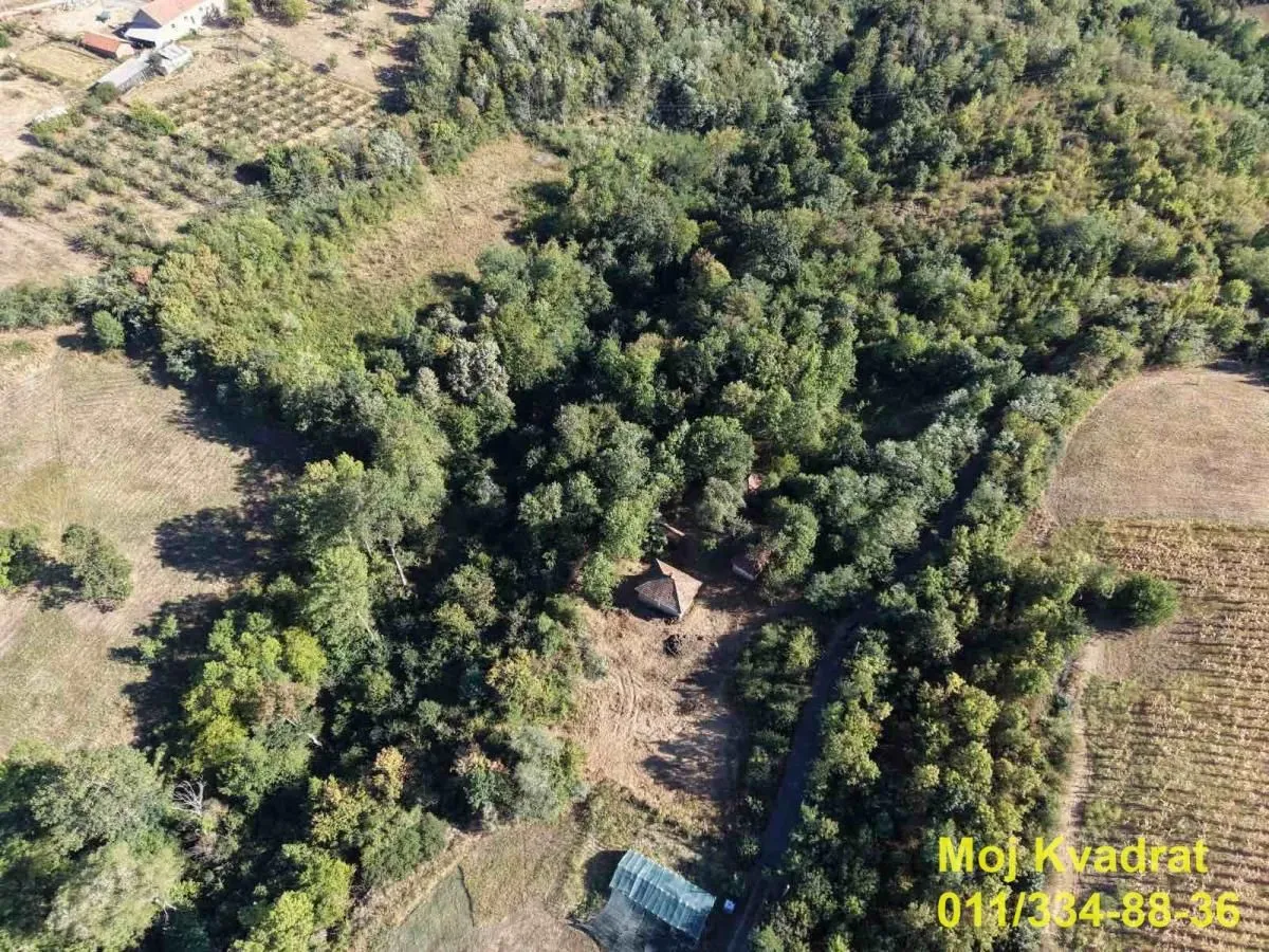 Pogled iz vazduha na imanje okruženo šumom i zelenilom.