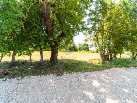 Sale, land lot, 1000m², Martinići, Danilovgrad - image 9