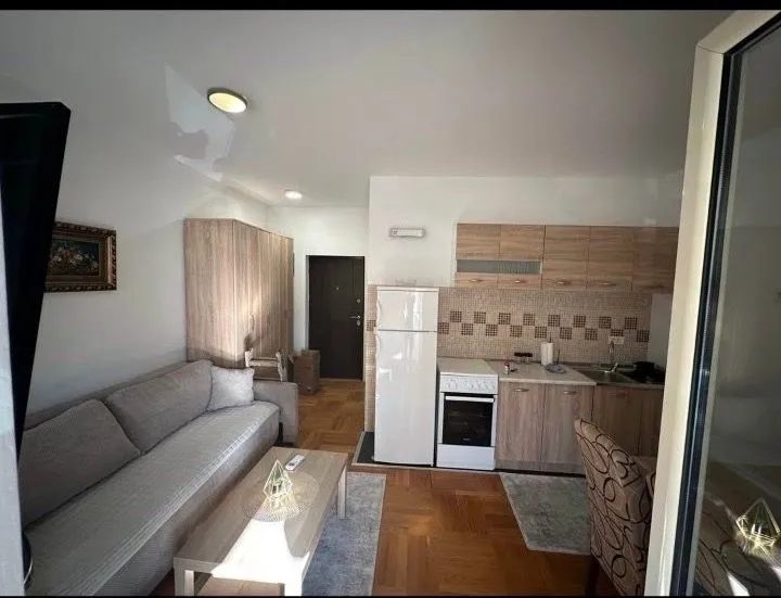 Rent, studio apartment, 26m², Zabjelo, Podgorica