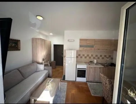 Rent, studio apartment, 26m², Zabjelo, Podgorica - image 4