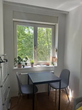 Rent, two bedroom apartment, 40m², Adamovićevo Naselje, Novi Sad Sve Podlokacije - image 4