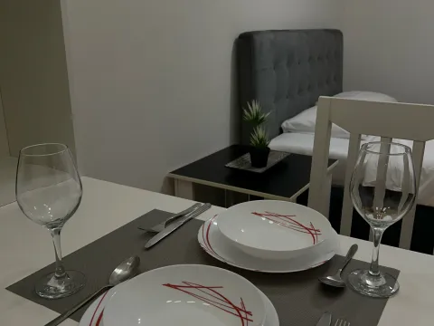 Daily-rent, apartment, 22m², City Kvart, Podgorica - image 7