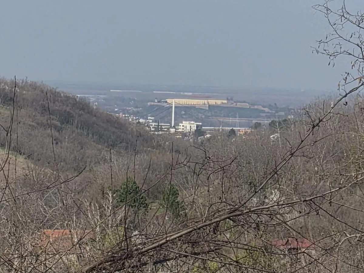 Prodaja, plac, 5000m², Sremska Kamenica, Petrovaradin