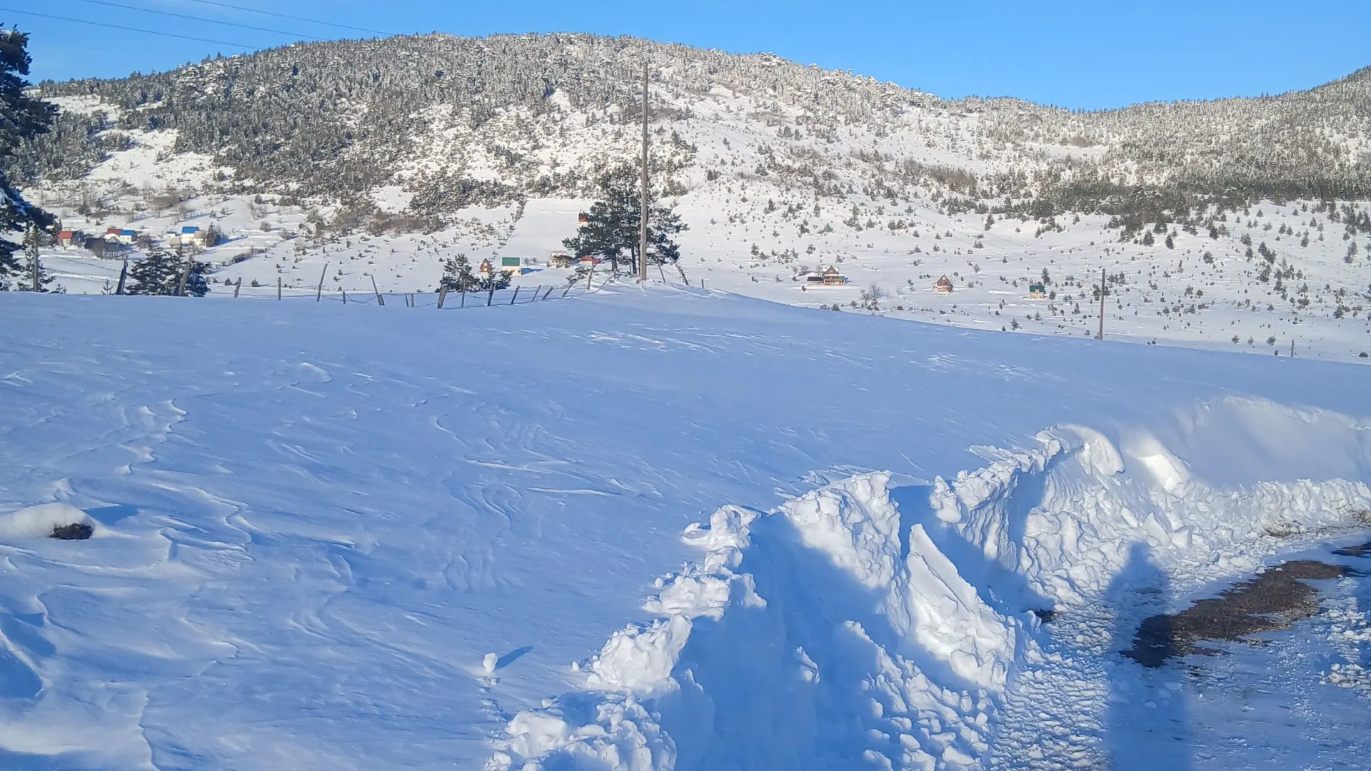 Prodaja, plac, 3000m², Borje, Žabljak