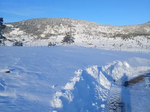 Prodaja, plac, 3000m², Borje, Žabljak - image 5