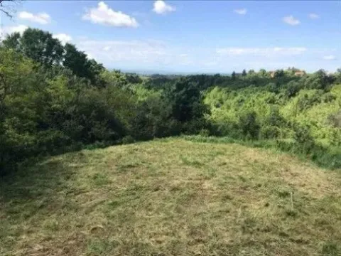 Sale, house, 316m², Stara Lipovica, Barajevo - image 2