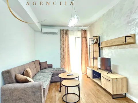 Rent, one bedroom apartment, 45m², Stari Aerodrom, Podgorica - image 2