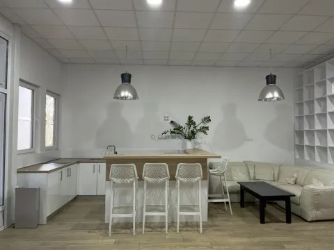 Rent, office space, 1850m², Zabjelo, Podgorica - image 13