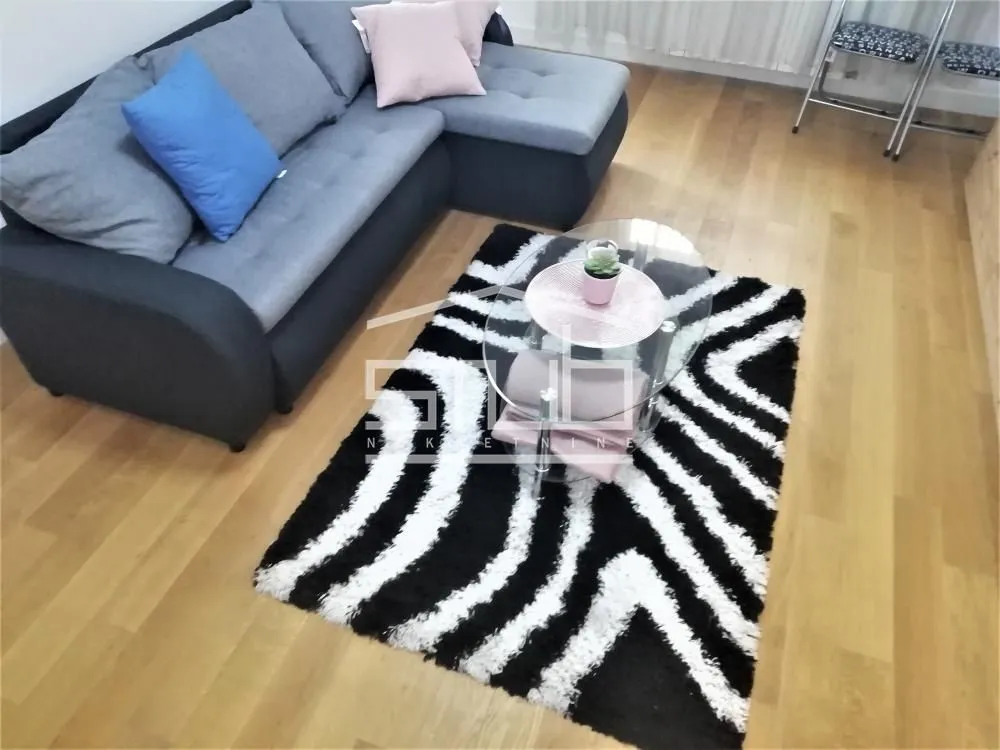 Izdavanje, dvosoban stan, 60m², Novi Beograd Blok 63, Novi Beograd Sve Podlokacije