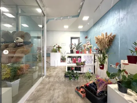 Rent, office space, 63m², Centar, Podgorica - image 2