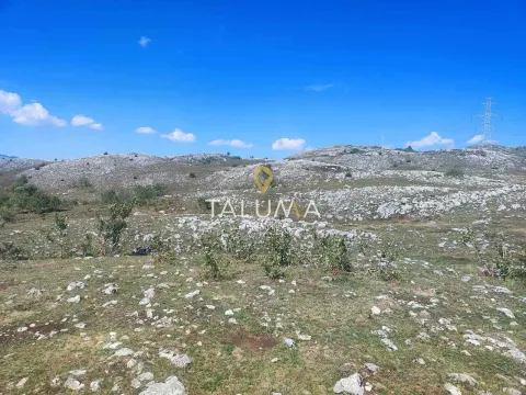 Prodaja, plac, 65000m², Žabljak, Crna Gora - image 4