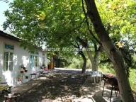 Izdavanje, poslovni prostor, 115m², Irig, Srbija - image 3