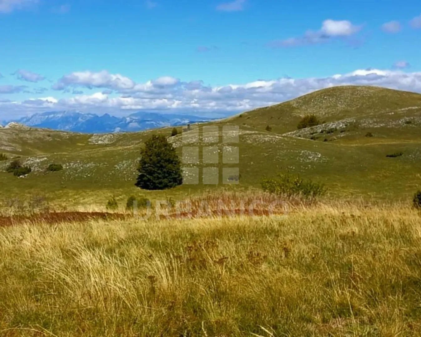 Prodaja, plac, 400000m², Veruša, Podgorica