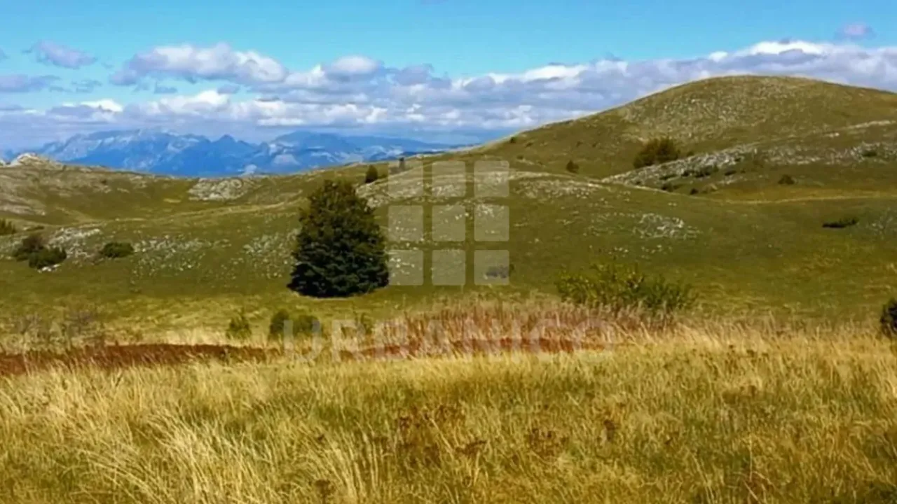 Sale, land lot, 400000m², Veruša, Podgorica