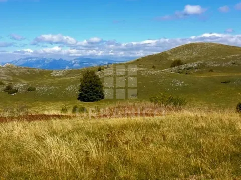 Zemljište in Veruša