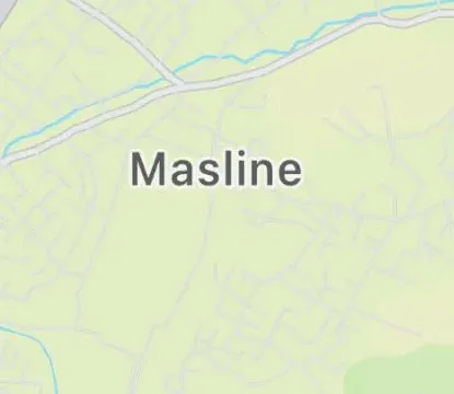 Prodaja, plac, 2000m², Masline, Podgorica - image 2