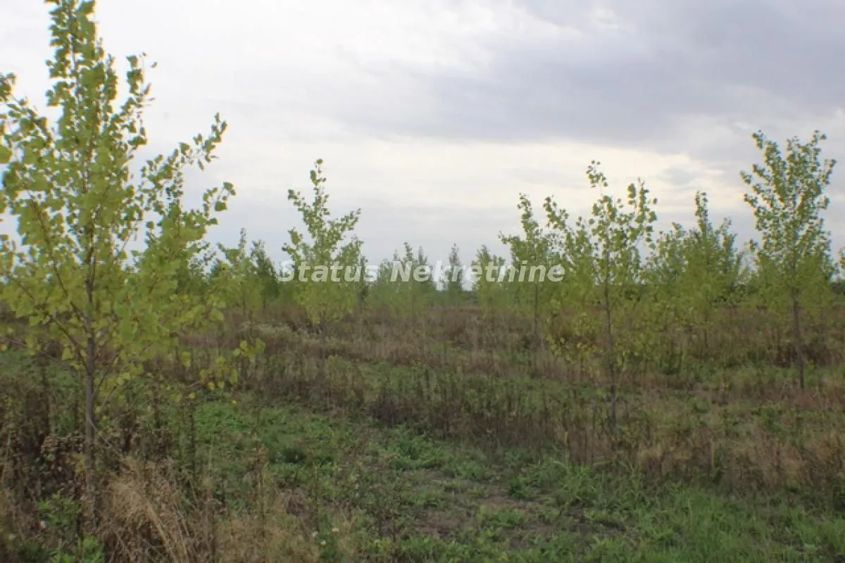 Prodaja, plac, 1378m², Zrenjanin, Srbija