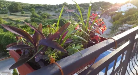 Prodaja, kuća, 220m², Krimovica, Kotor - image 3