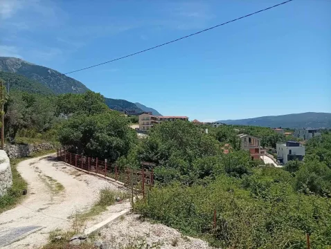 Pogled na okolinu, zelenilo i pristupni put. - image 4