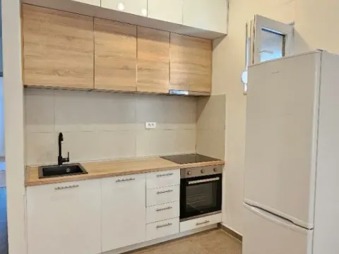 Izdavanje, jednosoban stan, 49m², Centar, Podgorica - image 2