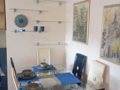 Izdavanje, dvosoban stan, 53m², Cetinje, Crna Gora - image 4